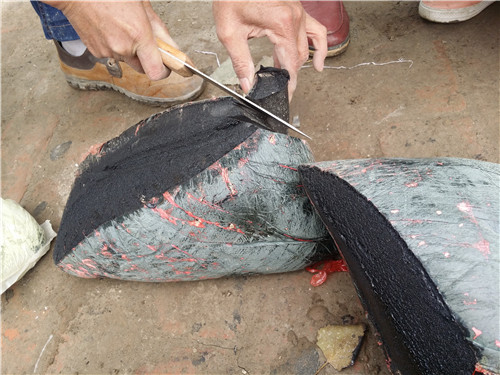 ������ϩ�z�� (17).jpg